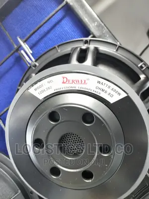 Derwel 12 Inch Naked Speaker 12dl202