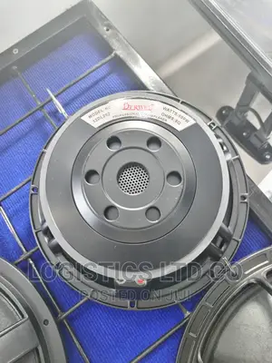 Derwel 12 Inch Naked Speaker 12dl202
