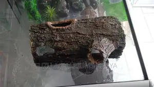 Aquarium Log Deco