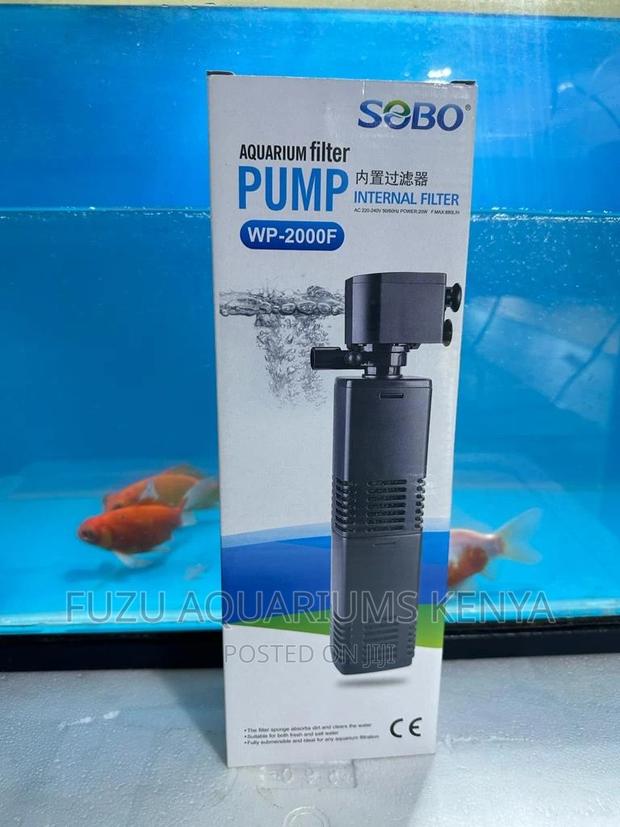 Filter Pump - Quality Filter Pump - main view