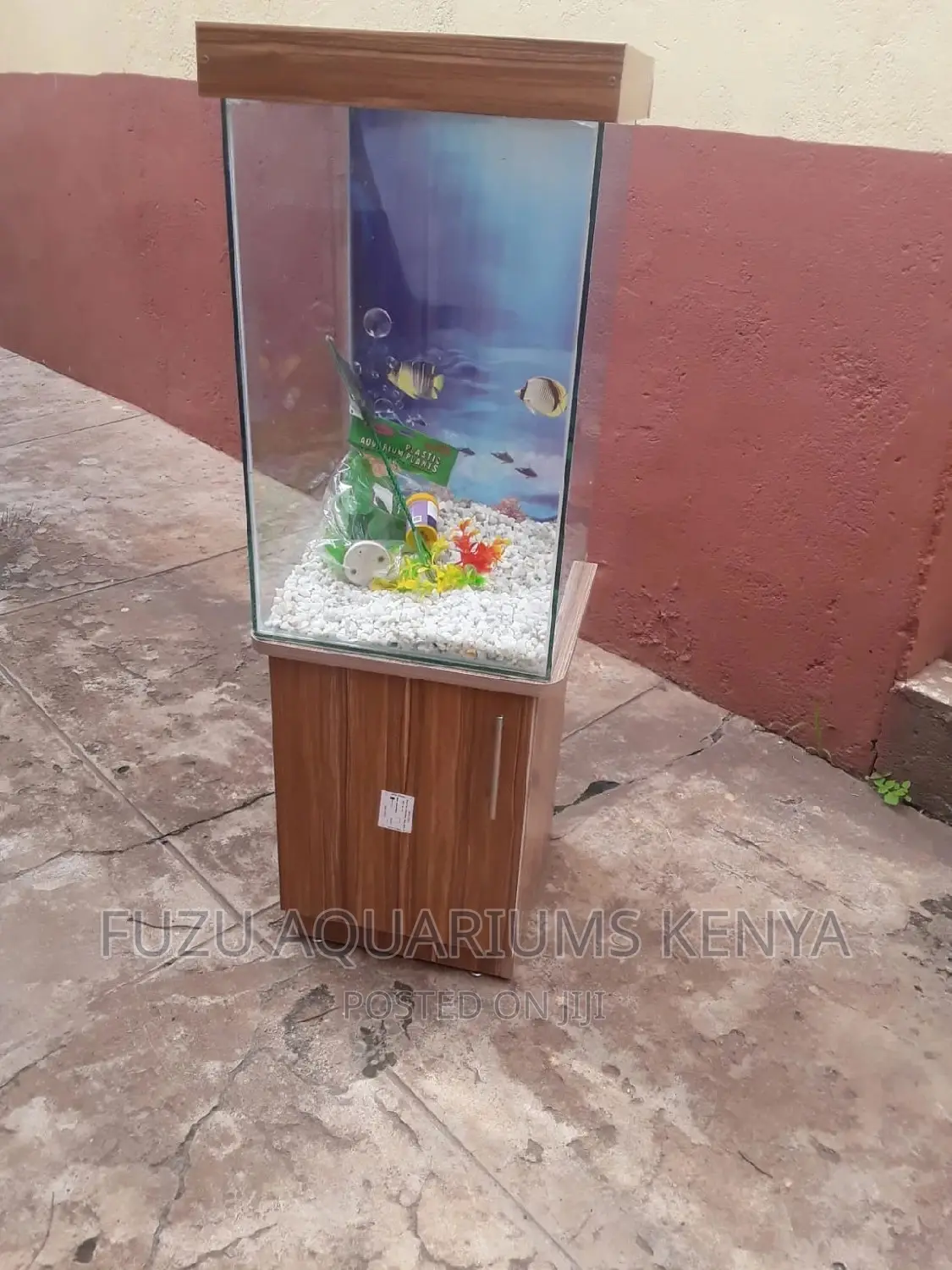 Small Spaced Aquarium