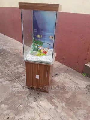 Small Spaced Aquarium
