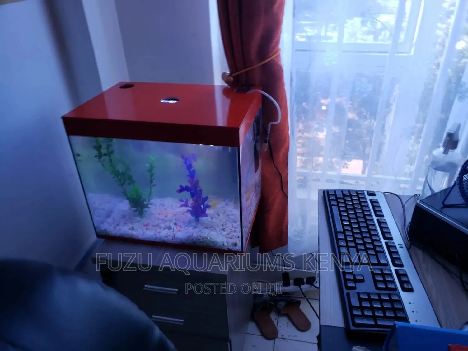 Small Red Aquarium