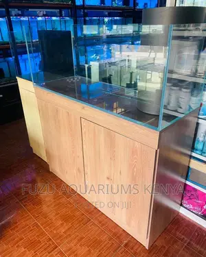 Modern Unique Aquarium