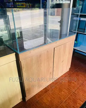 Modern Unique Aquarium