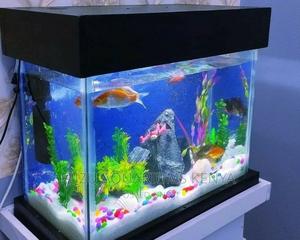 Fully Decorated Table Aquarium - thumbnail 2