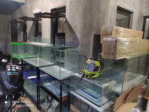 All Sized Aquariums - thumbnail 2