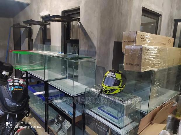All Sized Aquariums