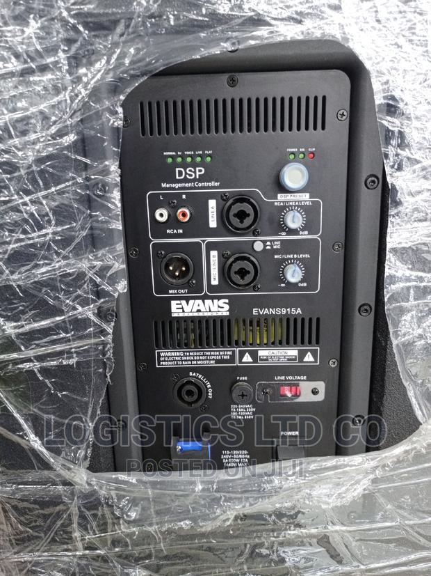 Evans915a Powered Speaker 2 Line Array - thumbnail 2