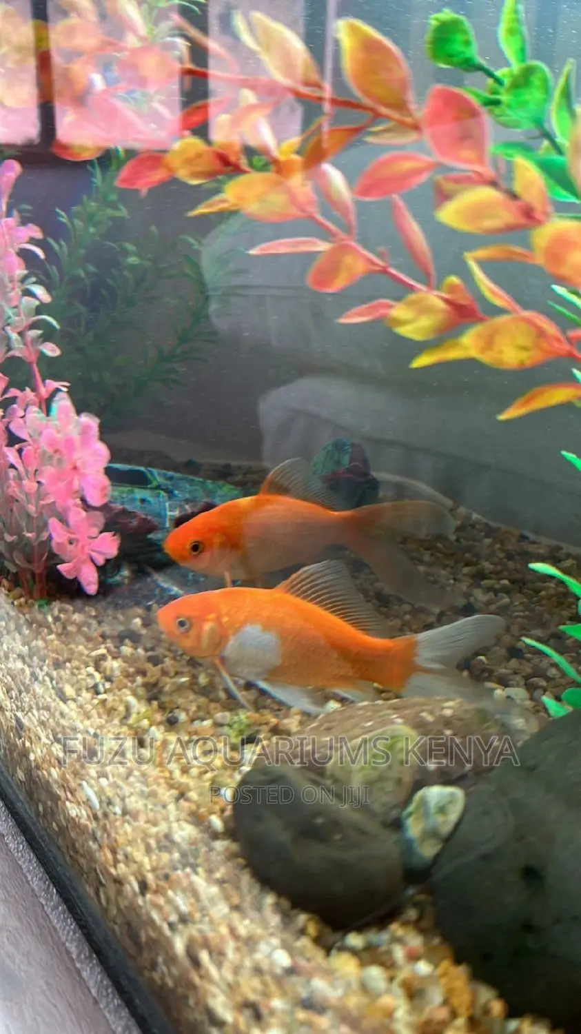 Aquarium Brown Gravel