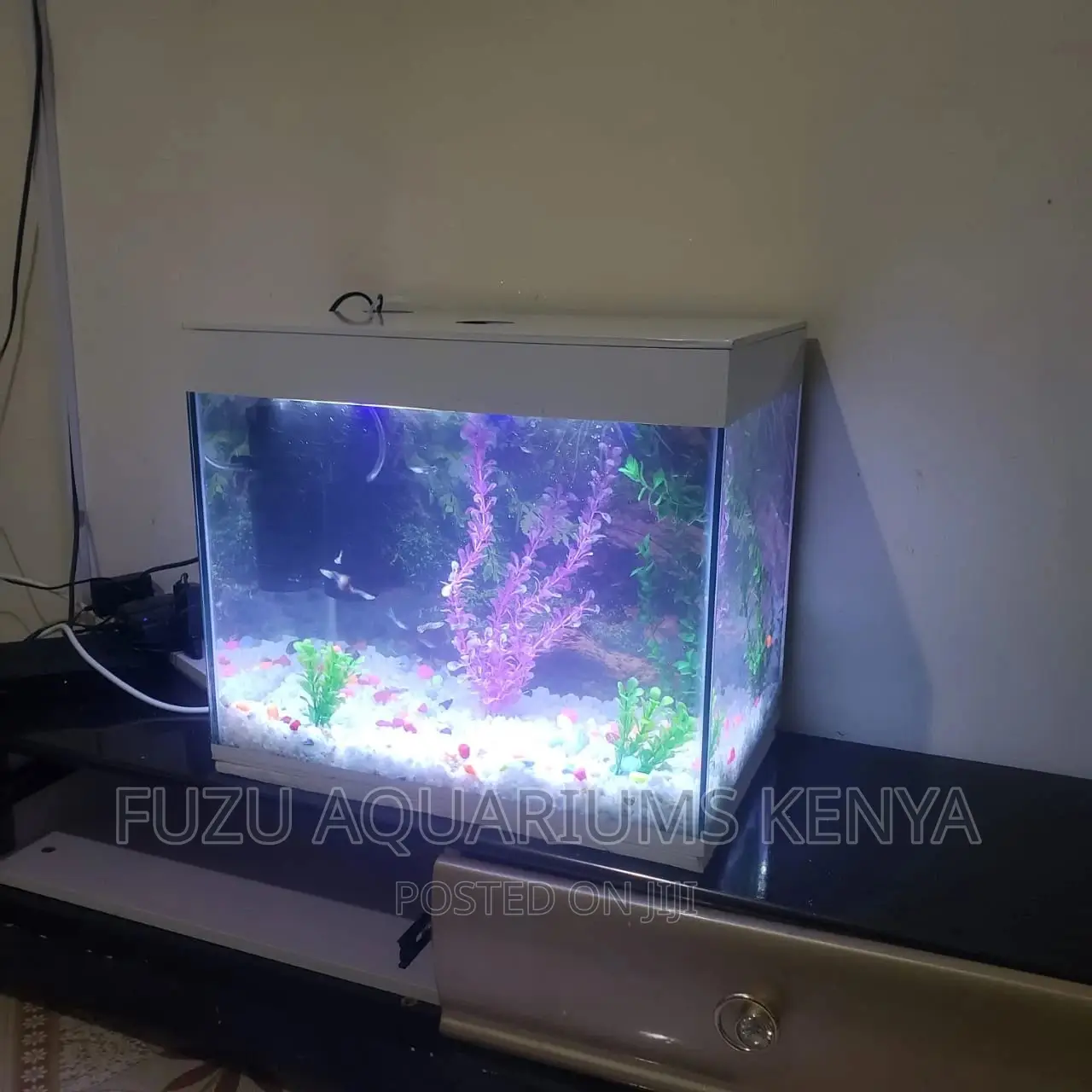 Small Aquarium Any Color Available