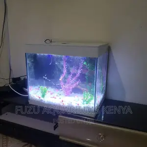 Small Aquarium Any Color Available