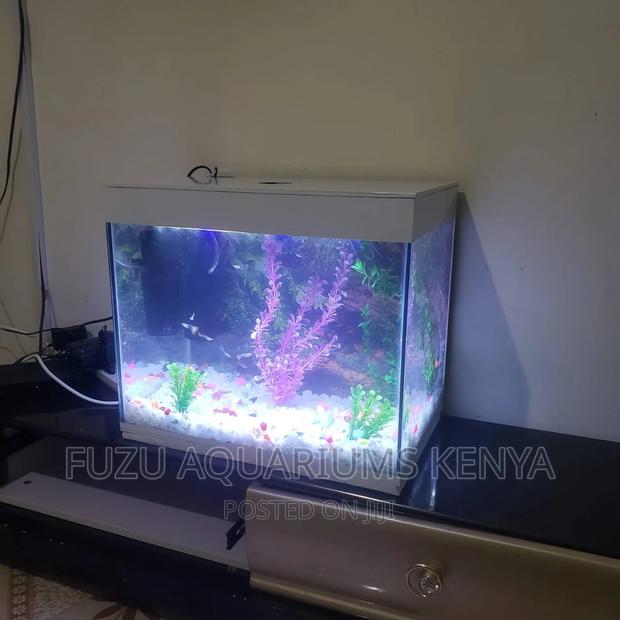 Small Aquarium Any Color Available - thumbnail 4