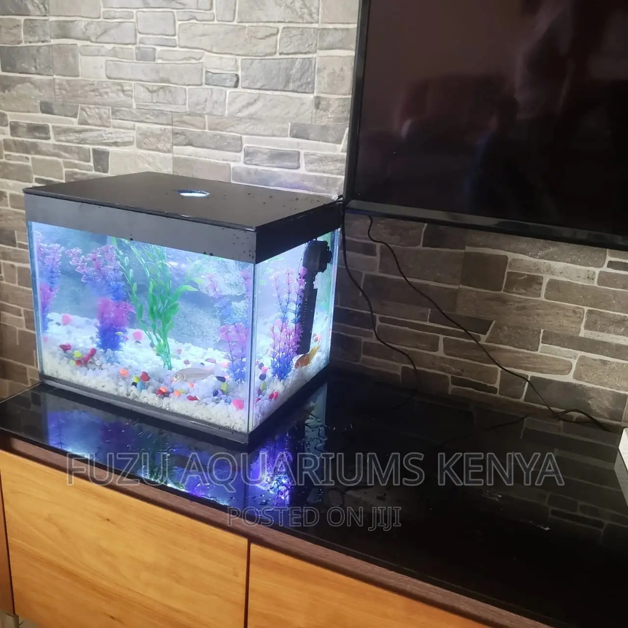 Small Aquarium Any Color Available