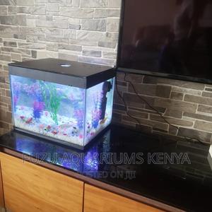 Small Aquarium Any Color Available - thumbnail 2