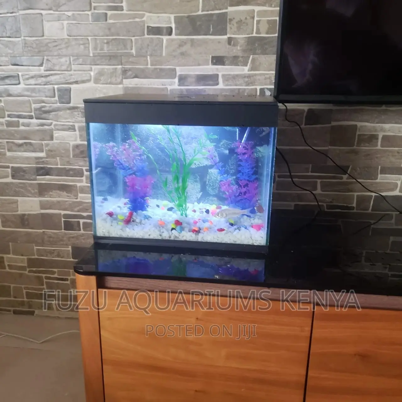 Small Aquarium Any Color Available