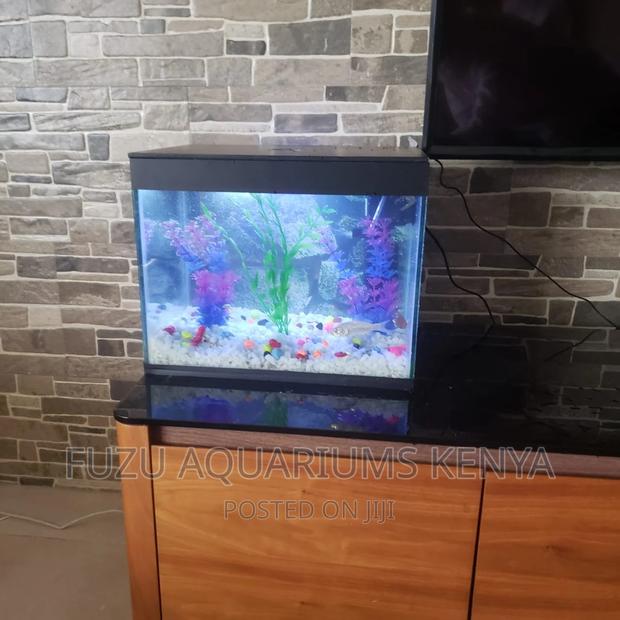 Small Aquarium Any Color Available - thumbnail 3