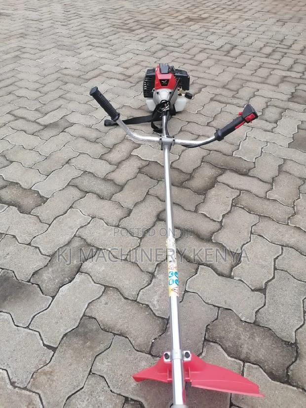 Gasoline Brushcutter and Grass Trimmer-2 Stroke