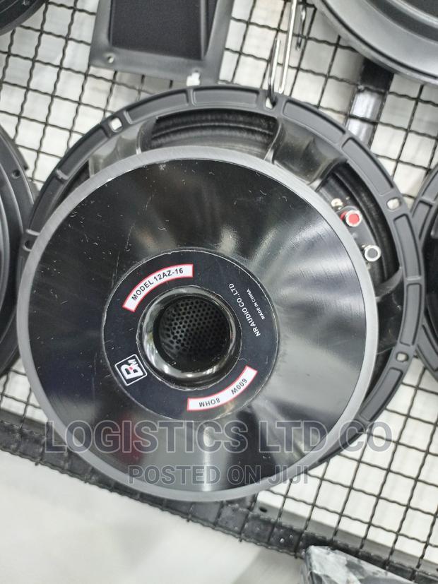 BM 12 AZ-16 12 Inch Naked Speaker