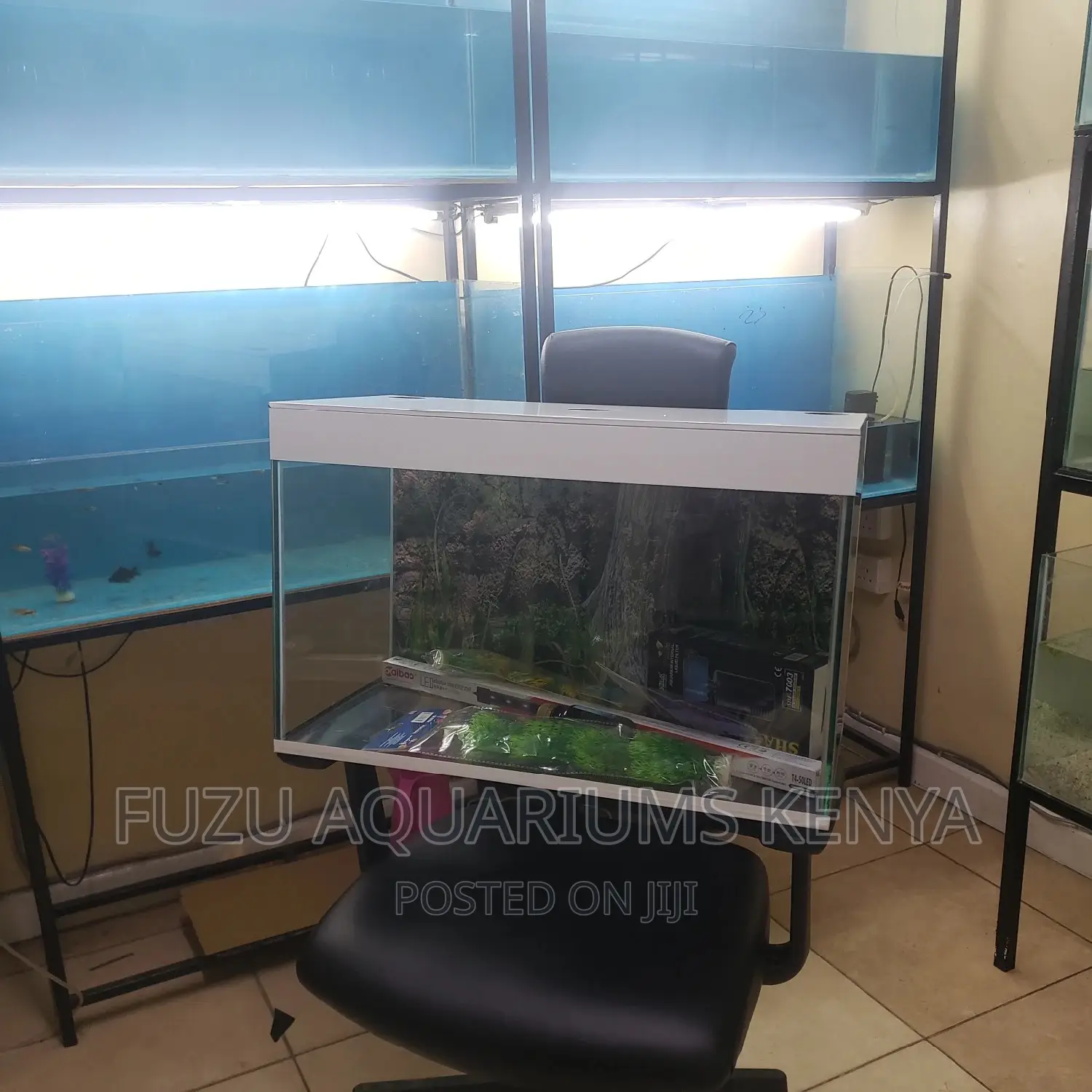 2ft White Aquarium - Classic