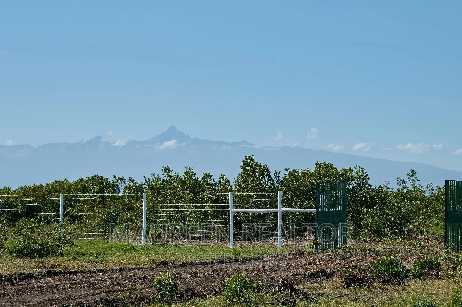Plots to Buy- Olpajeta Nanyuki
