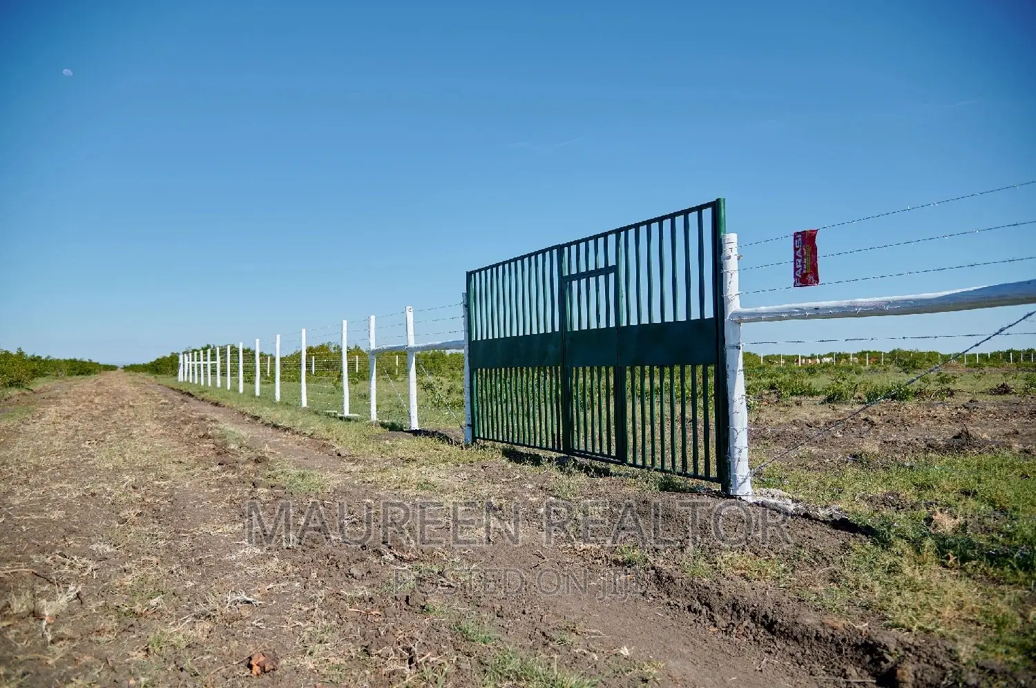 Plots to Buy- Olpajeta Nanyuki