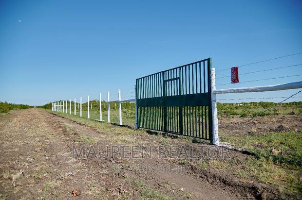 Plots to Buy- Olpajeta Nanyuki - thumbnail 7