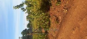 Behind Bondo Catholic Church - thumbnail 2