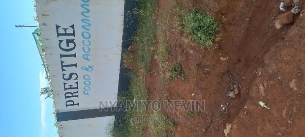 Behind Bondo Catholic Church - thumbnail 4