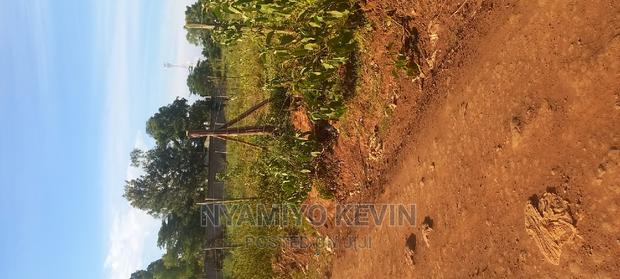 Behind Bondo Catholic Church - thumbnail 3