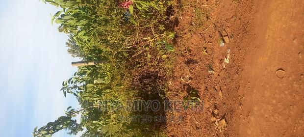 Behind Bondo Catholic Church - thumbnail 5