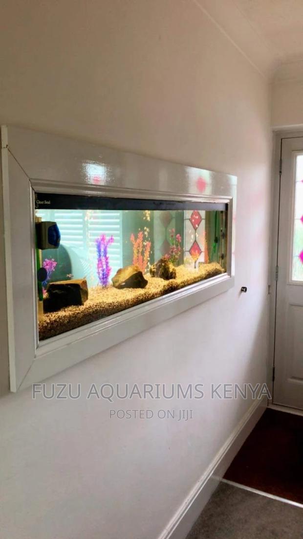Long Wall Inbuilt Aquariums - main view