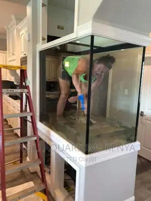 Large Aquarium With Stand