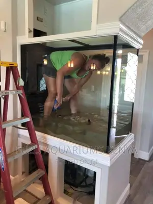 Large Aquarium With Stand