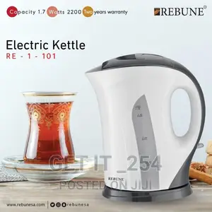 101 Electric Kettle
