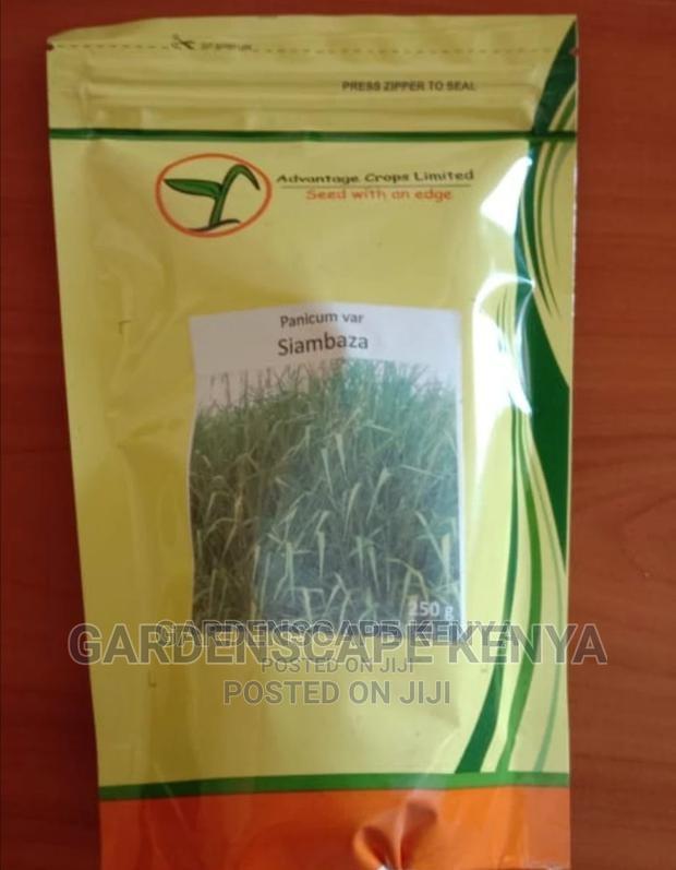 Garden Plants,Seeds,Trees, Fertilizers and Lawn Grass - thumbnail 7