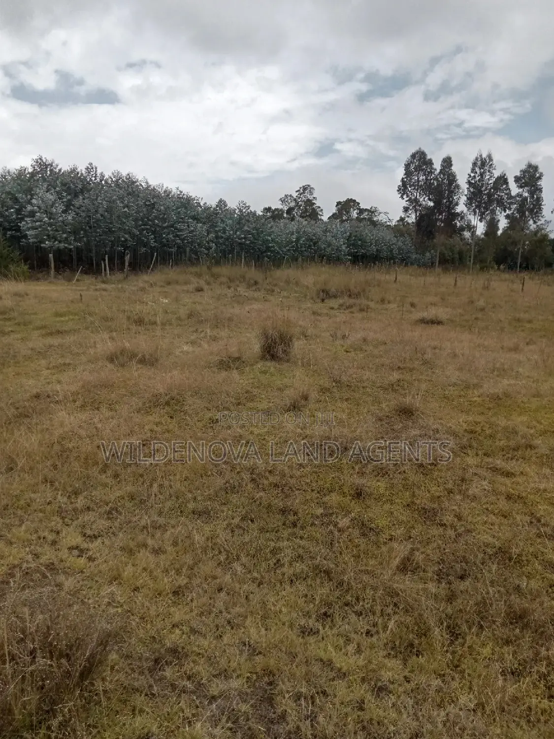 Land on Sale at Kinangop Koinange
