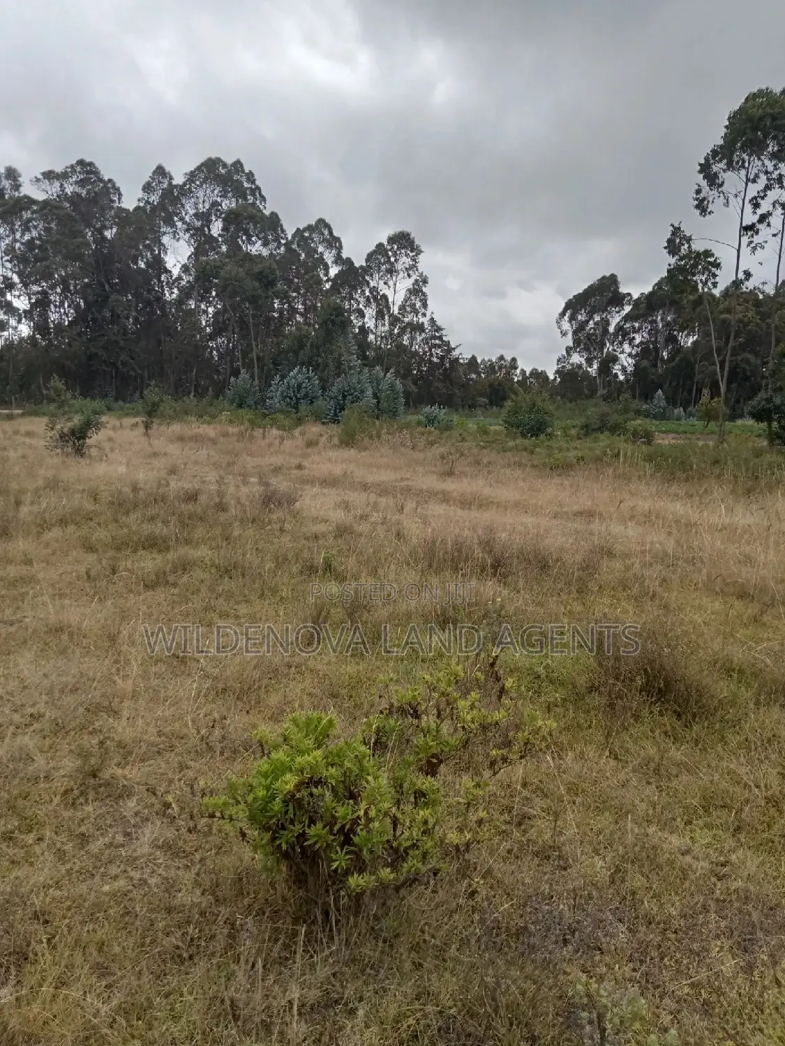 Land on Sale at Kinangop Koinange