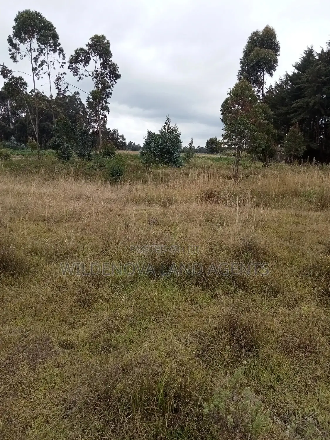 Land on Sale at Kinangop Koinange