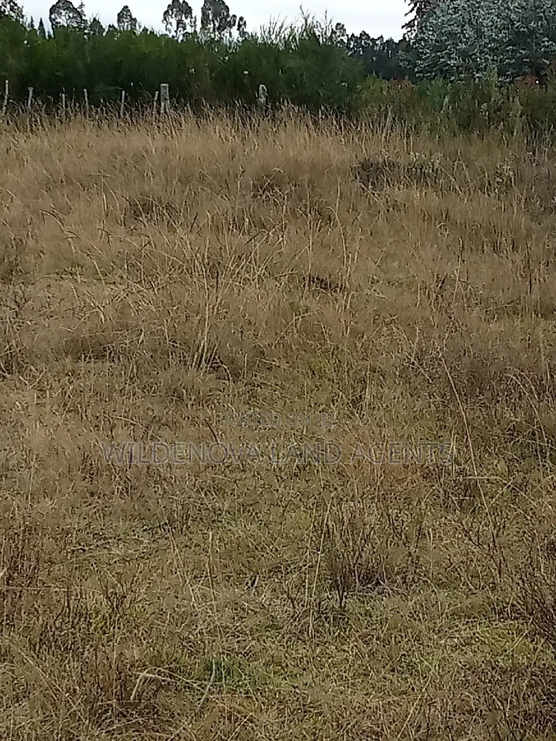 Land on Sale at Kinangop Koinange