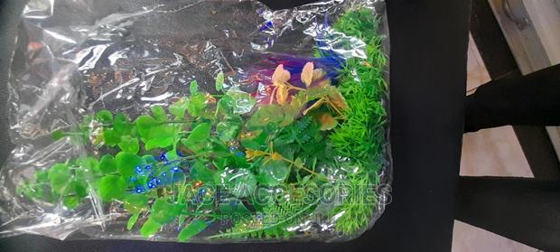 Acquarium Plants Shrub - thumbnail 3