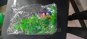 Acquarium Plants Shrub
