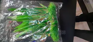 Acquarium Artificial Plants