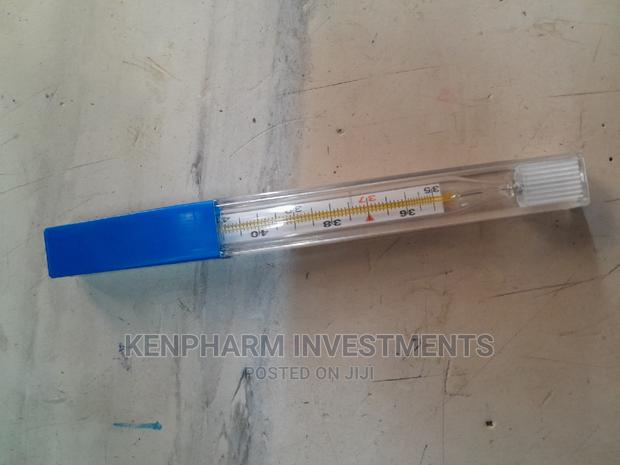 Mercurial / Mercury Thermometer - thumbnail 3