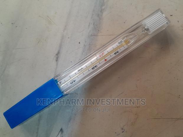 Mercurial / Mercury Thermometer - thumbnail 4