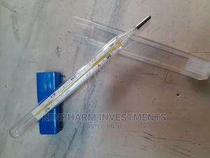 Mercurial / Mercury Thermometer - thumbnail 2