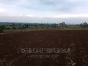 Residential Plot in Matrofi Gated Estatetinganga Kiambutown