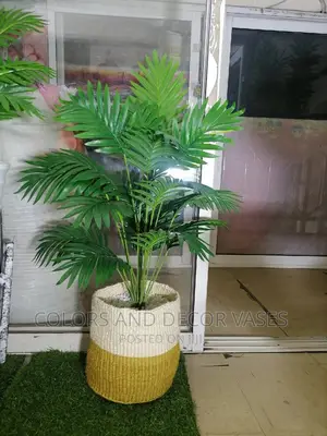 Palm, Basket and Pebble Stones