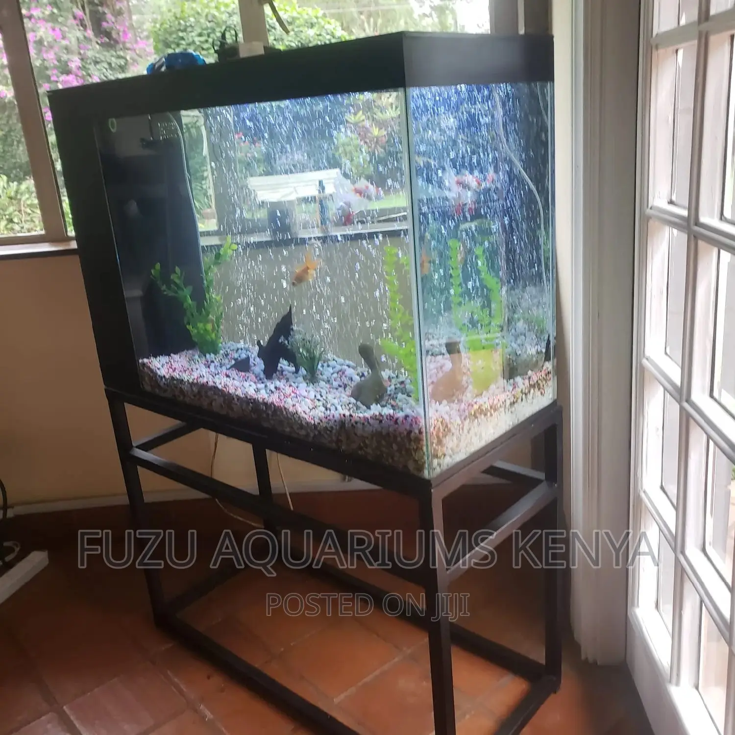 Aquarium With on Metalic Stand