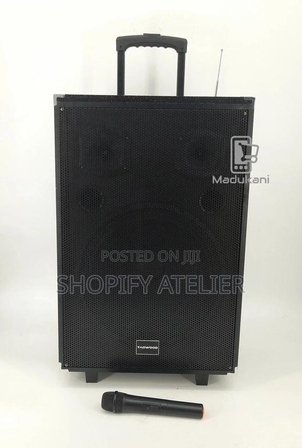 Tagwood 15A Outdoor Sound System Bluetooth Wireless Mike